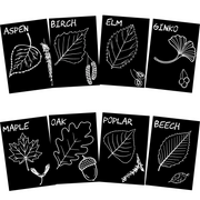 Leaf Identification Flash Card Set 5” x 7” Chalkboard Flash Cards